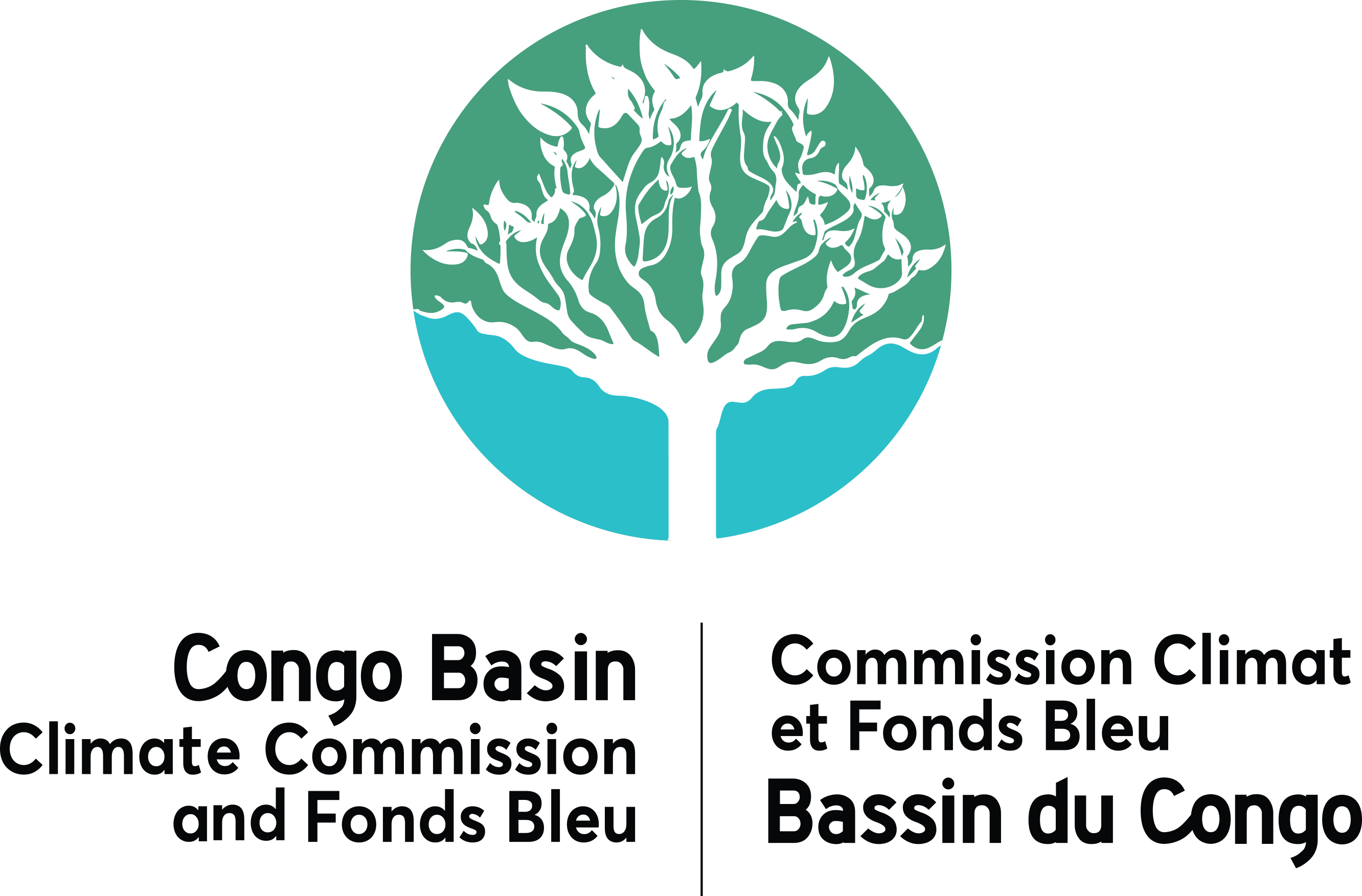 CCBC / Fonds Bleu